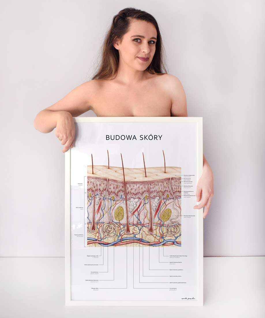 plakat z budową skóry