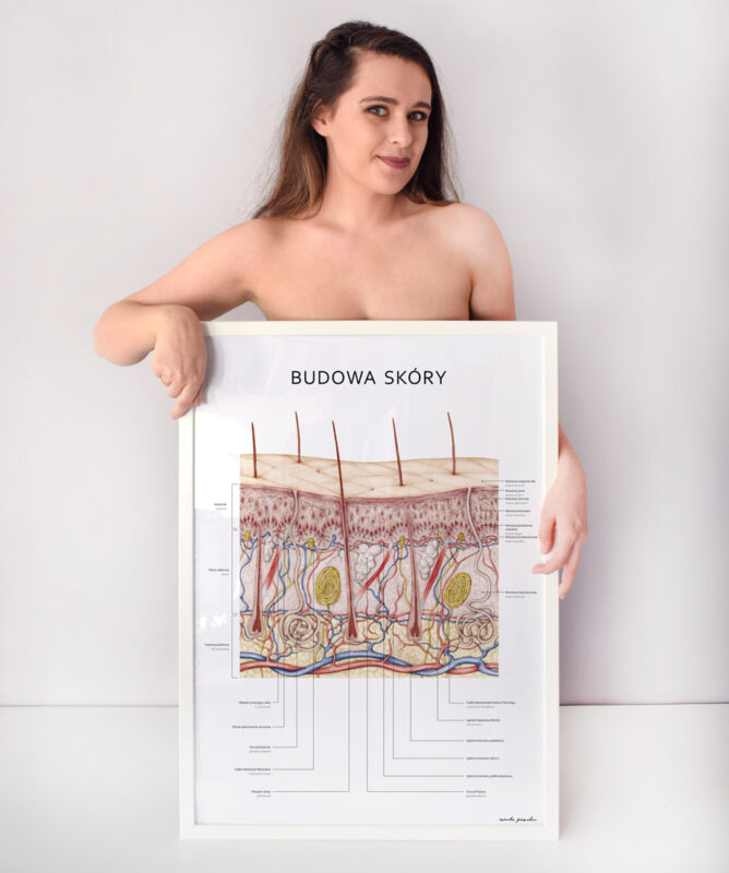 plakat z budową skóry