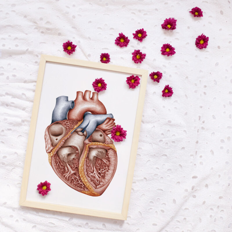 Komórki macierzyste